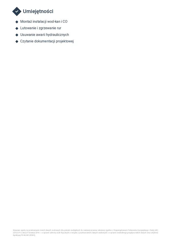 Przykładowe CV hydraulika — strona 2 (szablon Horizon)