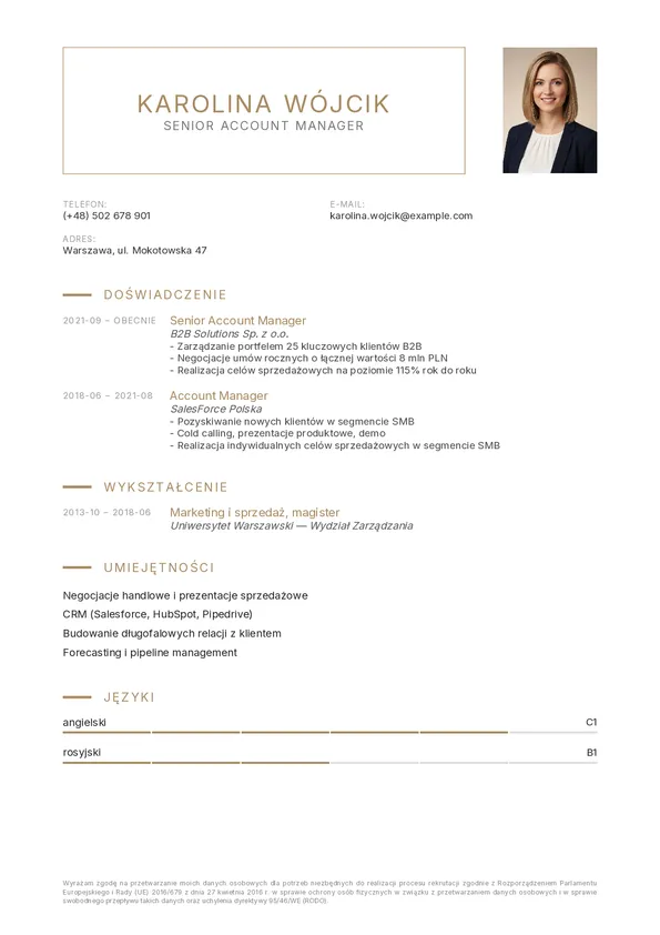 Szablon CV amber